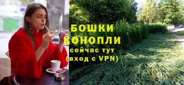 гидра Нея