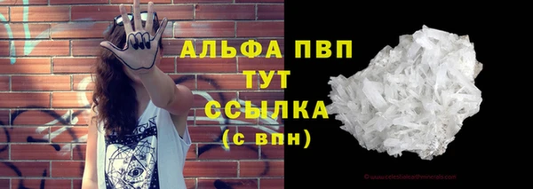 PSILOCYBIN Нефтекумск