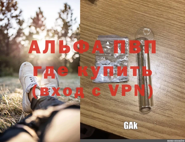 гидра Нея