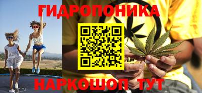 прущие грибы Волгодонск