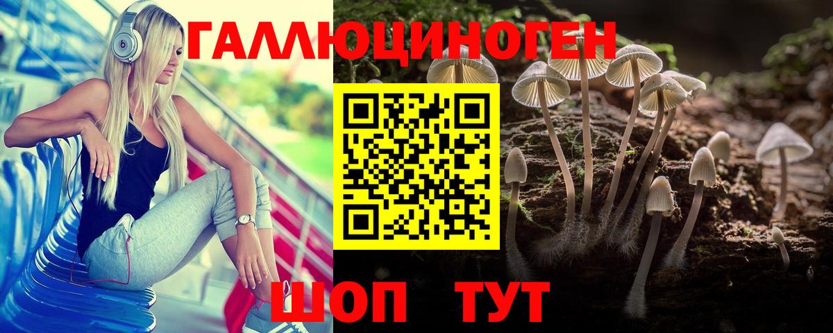 Псилоцибиновые грибы Psilocybine cubensis  Вход с VPN  Энгельс 