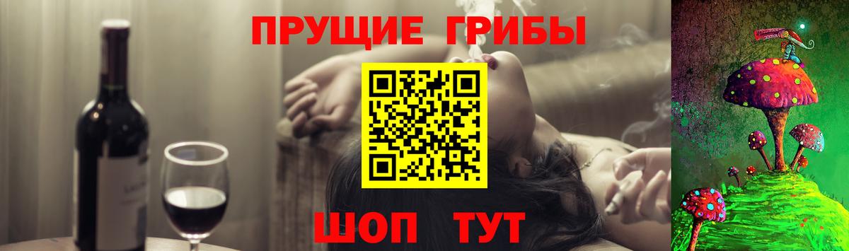 Галлюциногенные грибы мицелий  Энгельс  Псилоцибиновые грибы Magic Shrooms 