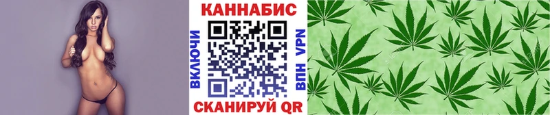 Шишки марихуана сатива  Энгельс 